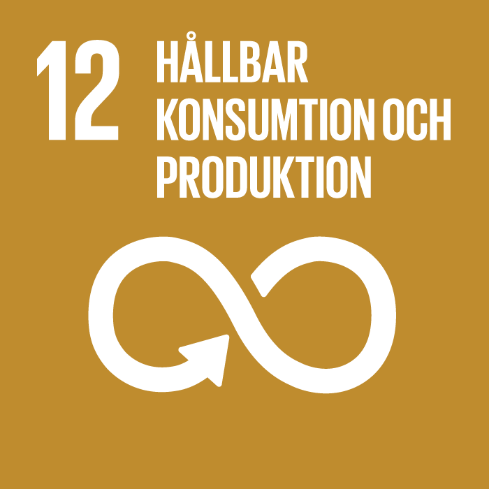 12-hallbar-konsumtion-och-produktion.png